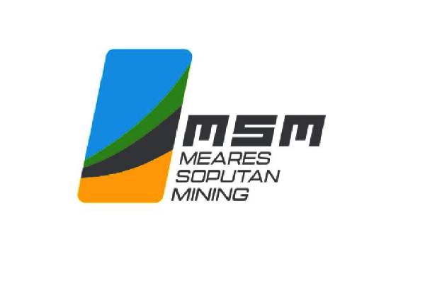 MSM
